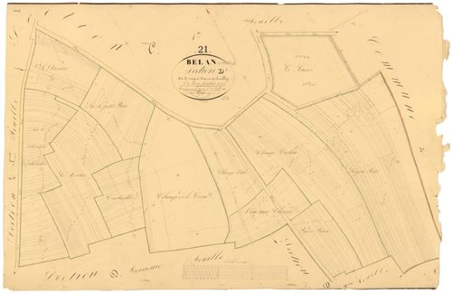 Belan-sur-Ource - Section D1 - 3 P PLAN 61/16