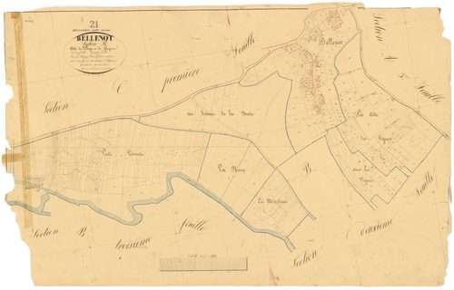 Bellenod-sur-Seine - Section B1 - 3 P PLAN 65/5