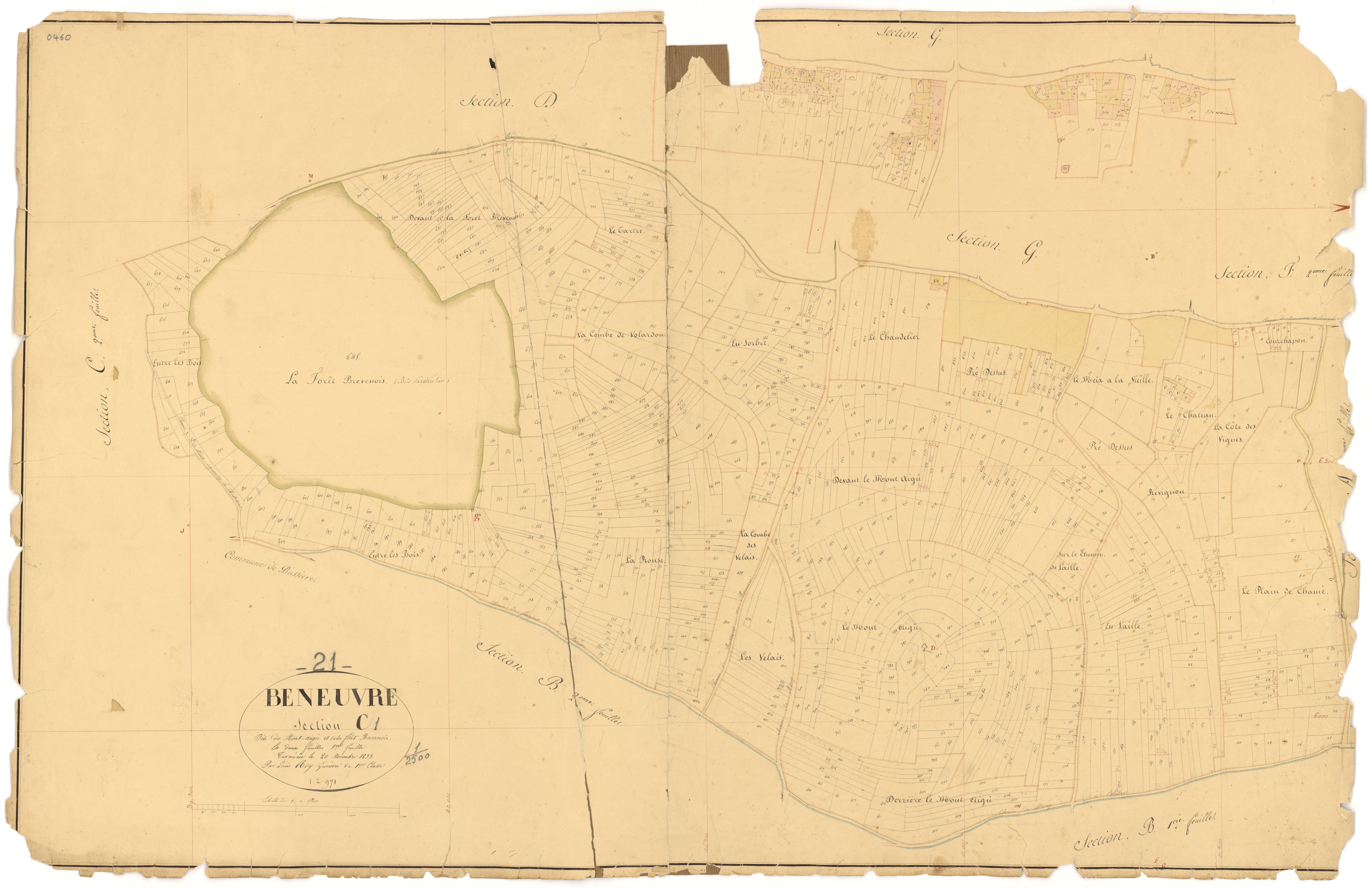 Beneuvre - Section C1 - 3 P PLAN 66/6