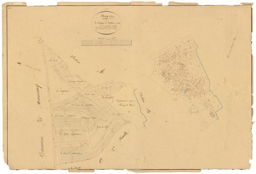 Bissey-la-Pierre - Section C1 - 3 P PLAN 81/4