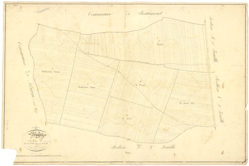 Blagny-sur-Vingeanne - Section D1 - 3 P PLAN 82/13