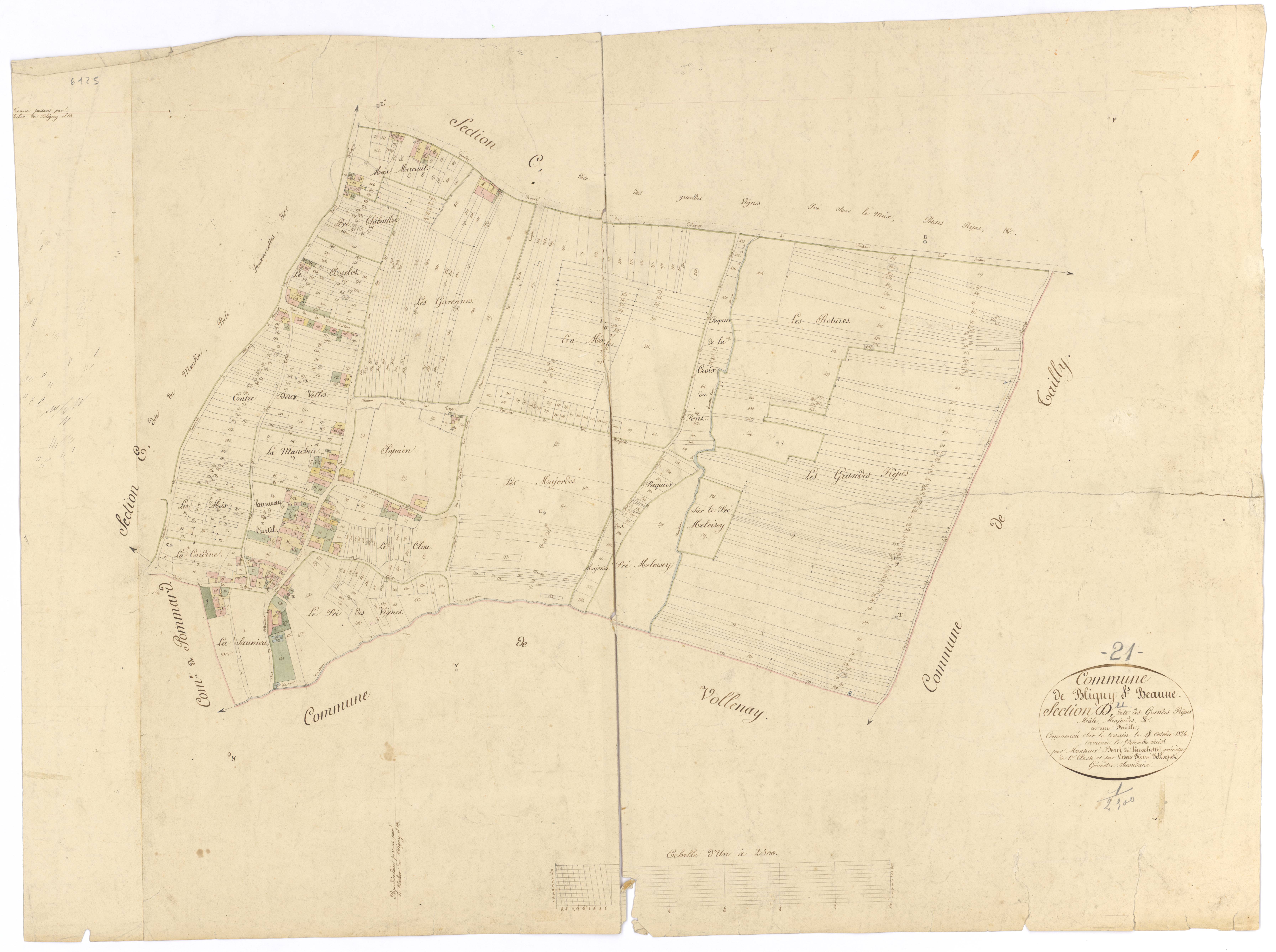Bligny-lès-Beaune - Section D - 3 P PLAN 89/6