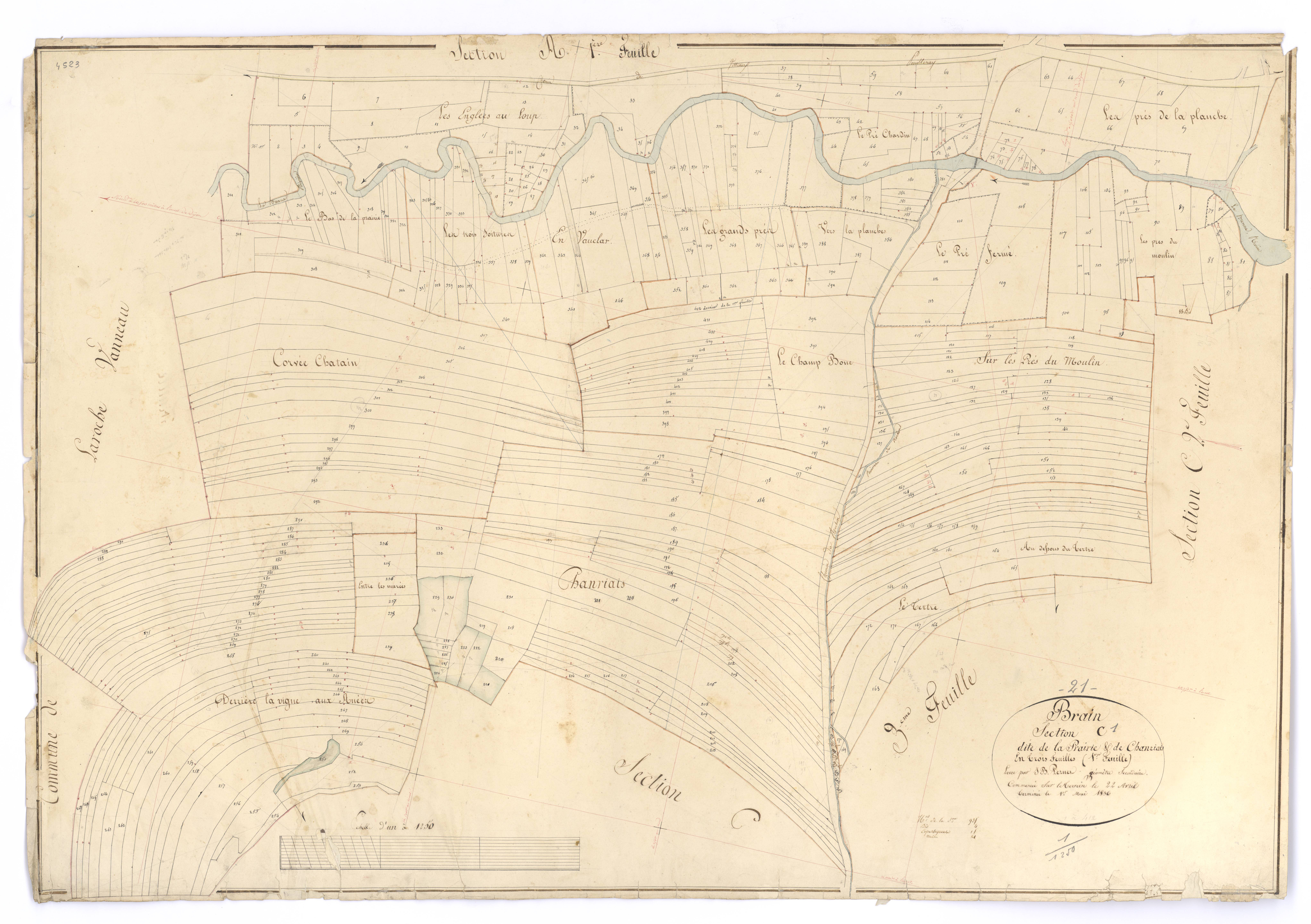 Brain - Section C1 - 3 P PLAN 103/6
