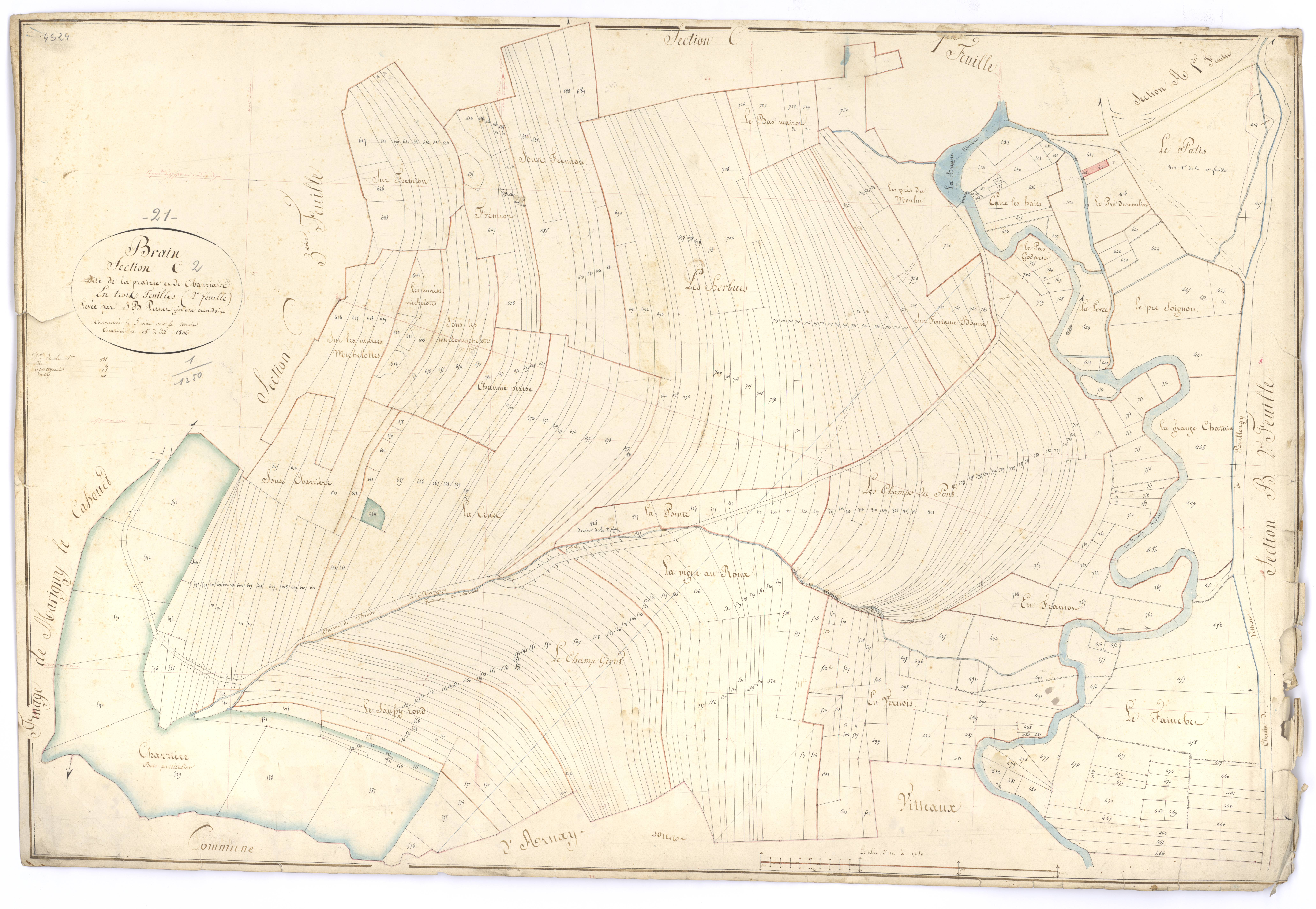 Brain - Section C2 - 3 P PLAN 103/7