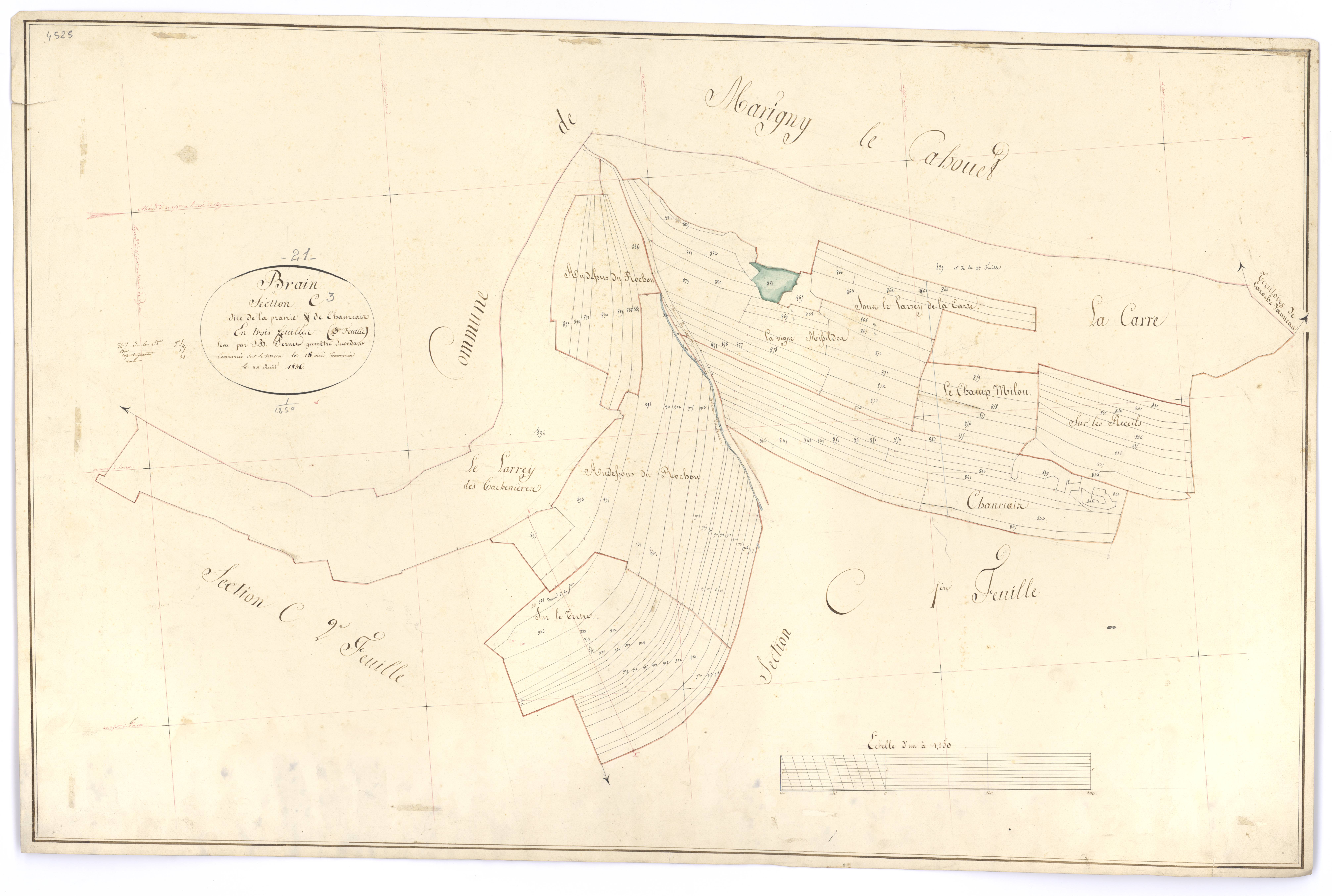 Brain - Section C3 - 3 P PLAN 103/8