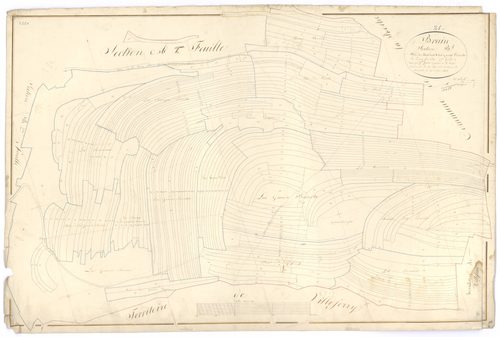 Brain - Section B1 - 3 P PLAN 103/4