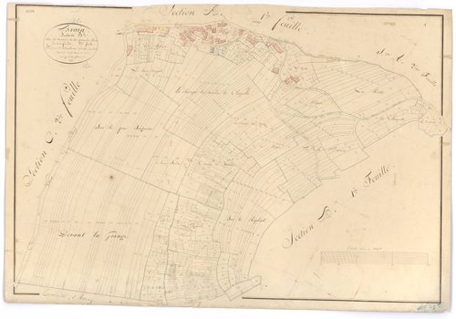 Brain - Section B2 - 3 P PLAN 103/5