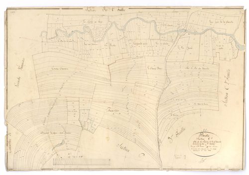 Brain - Section C1 - 3 P PLAN 103/6
