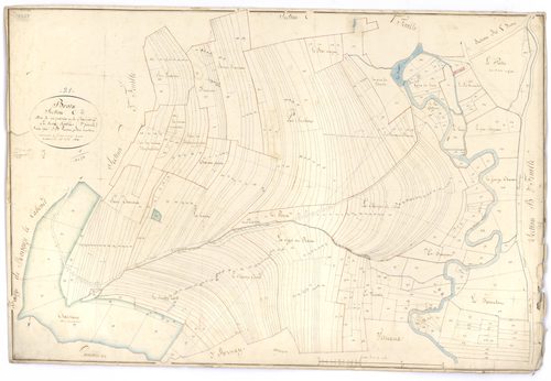 Brain - Section C2 - 3 P PLAN 103/7
