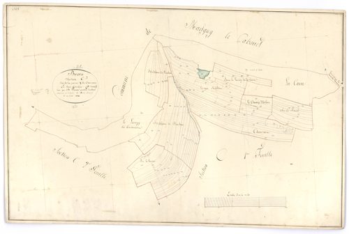 Brain - Section C3 - 3 P PLAN 103/8