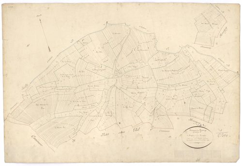 Brianny - Section C - 3 P PLAN 111/4