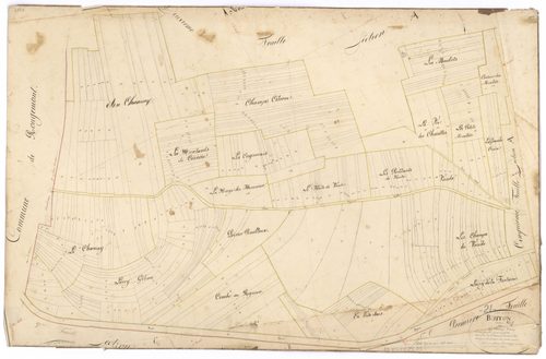 Buffon - Section A1 - 3 P PLAN 118/2