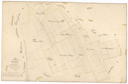 Buffon - Section A2 - 3 P PLAN 118/3