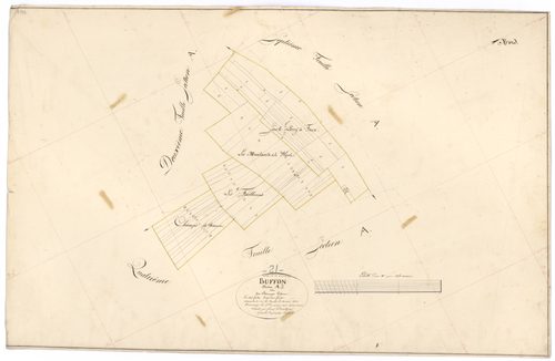 Buffon - Section A3 - 3 P PLAN 118/4