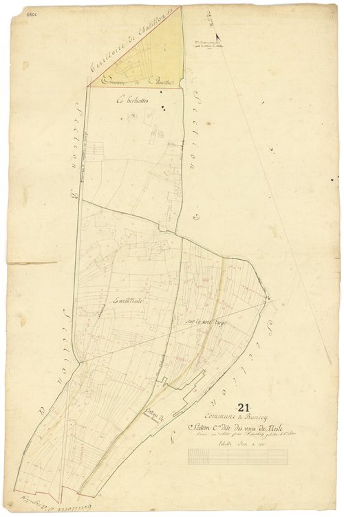 Buncey - Section C - 3 P PLAN 119/4