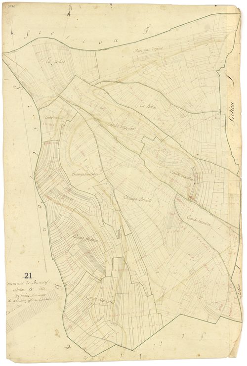 Buncey - Section G - 3 P PLAN 119/8