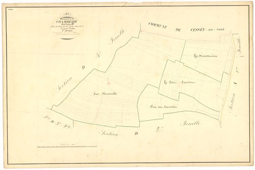 Chambeire - Section D1 - 3 P PLAN 136/14