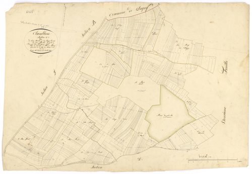Chamblanc - Section C1 - 3 P PLAN 137/4