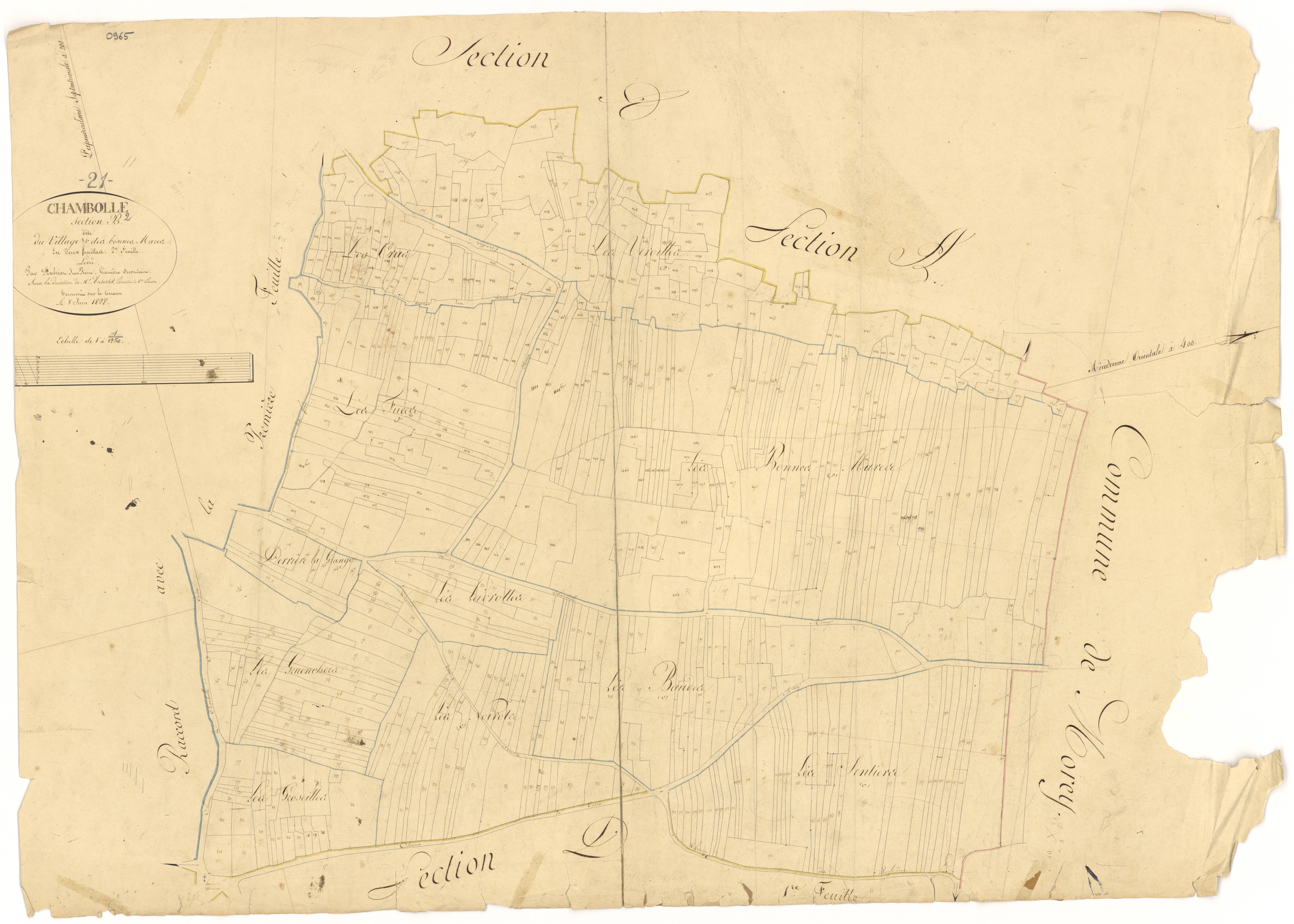 Chambolle-Musigny - Section B2 - 3 P PLAN 139/4