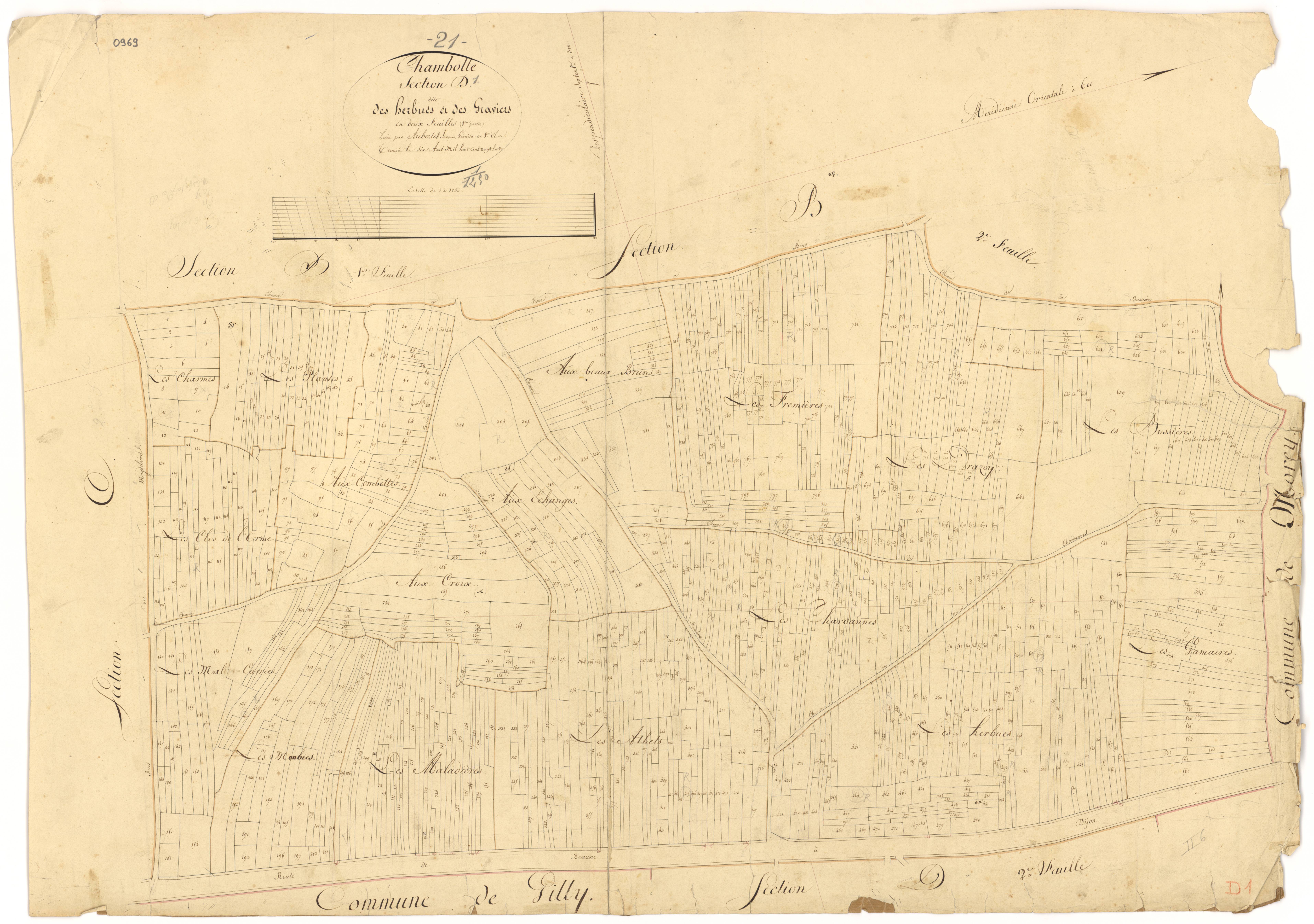 Chambolle-Musigny - Section D1 - 3 P PLAN 139/8
