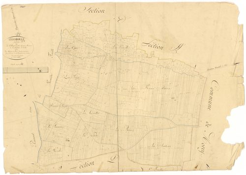 Chambolle-Musigny - Section B2 - 3 P PLAN 139/4