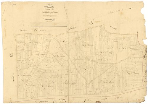 Chambolle-Musigny - Section D1 - 3 P PLAN 139/8