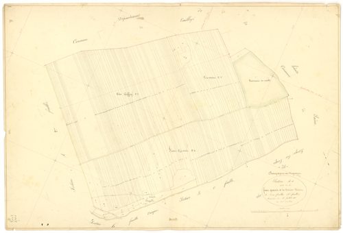 Champagne-sur-Vingeanne - Section A1 - 3 P PLAN 141/3