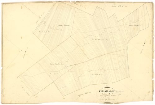 Champagne-sur-Vingeanne - Section C - 3 P PLAN 141/11