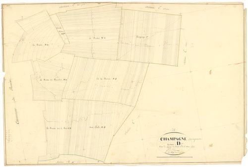 Champagne-sur-Vingeanne - Section D - 3 P PLAN 141/13