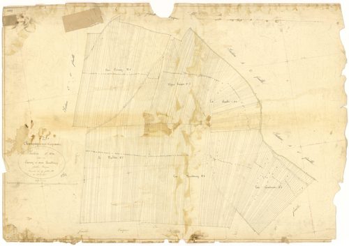 Champagne-sur-Vingeanne - Section H - 3 P PLAN 141/22