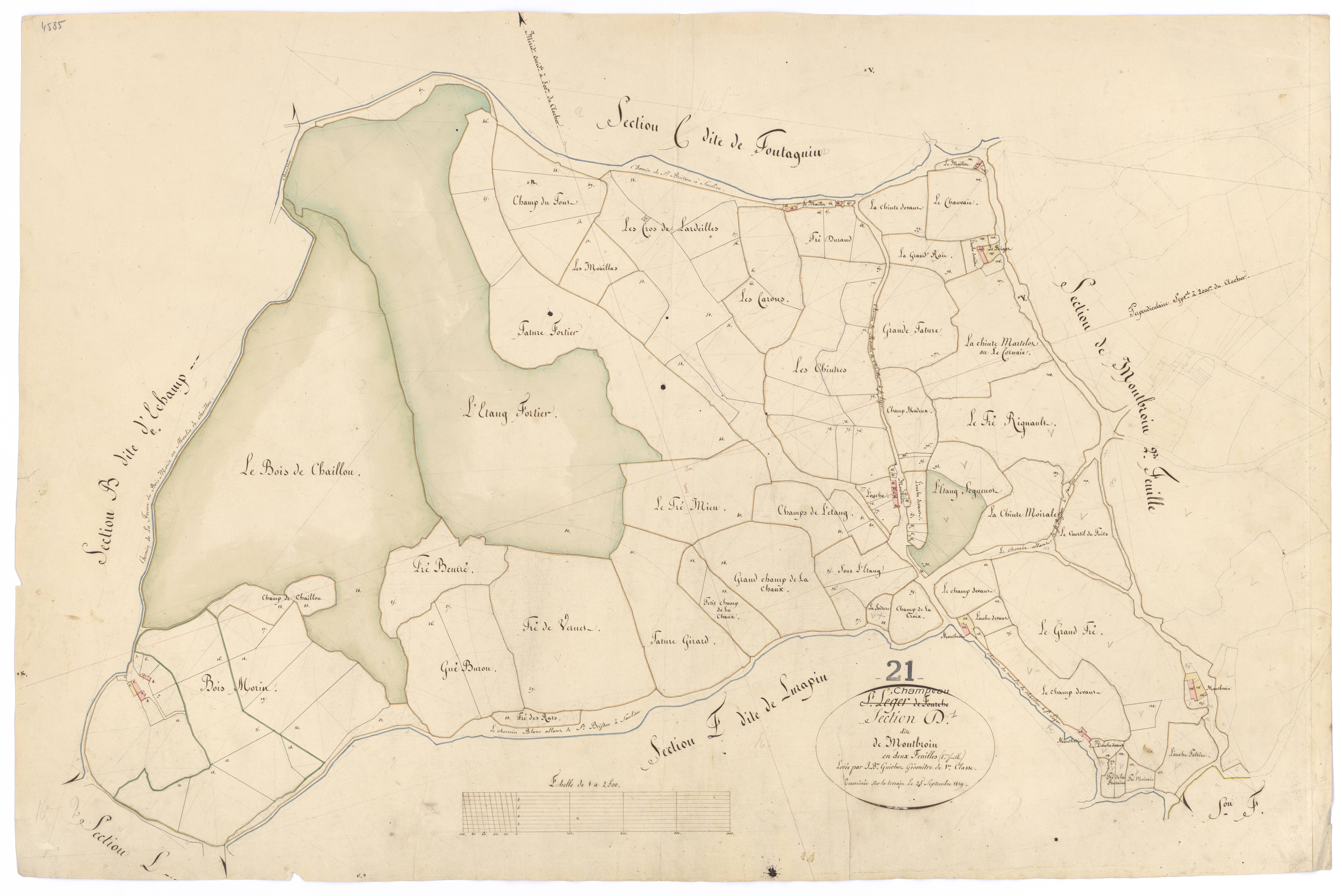 Champeau - Section D1 - 3 P PLAN 145/5