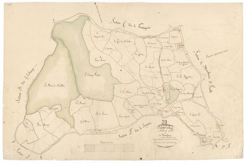 Champeau - Section D1 - 3 P PLAN 145/5
