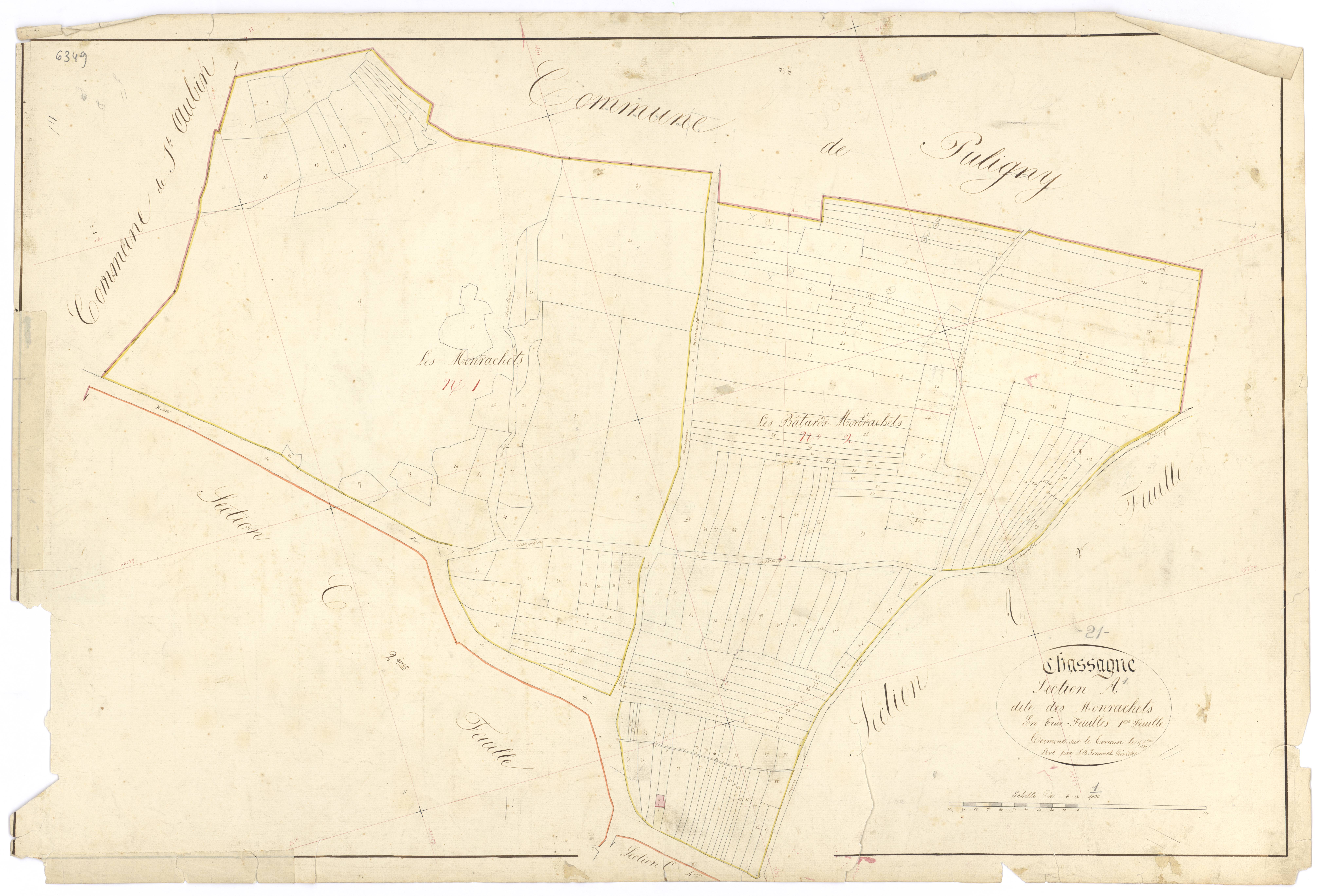 Chassagne-Montrachet - Section A1 - 3 P PLAN 156/3