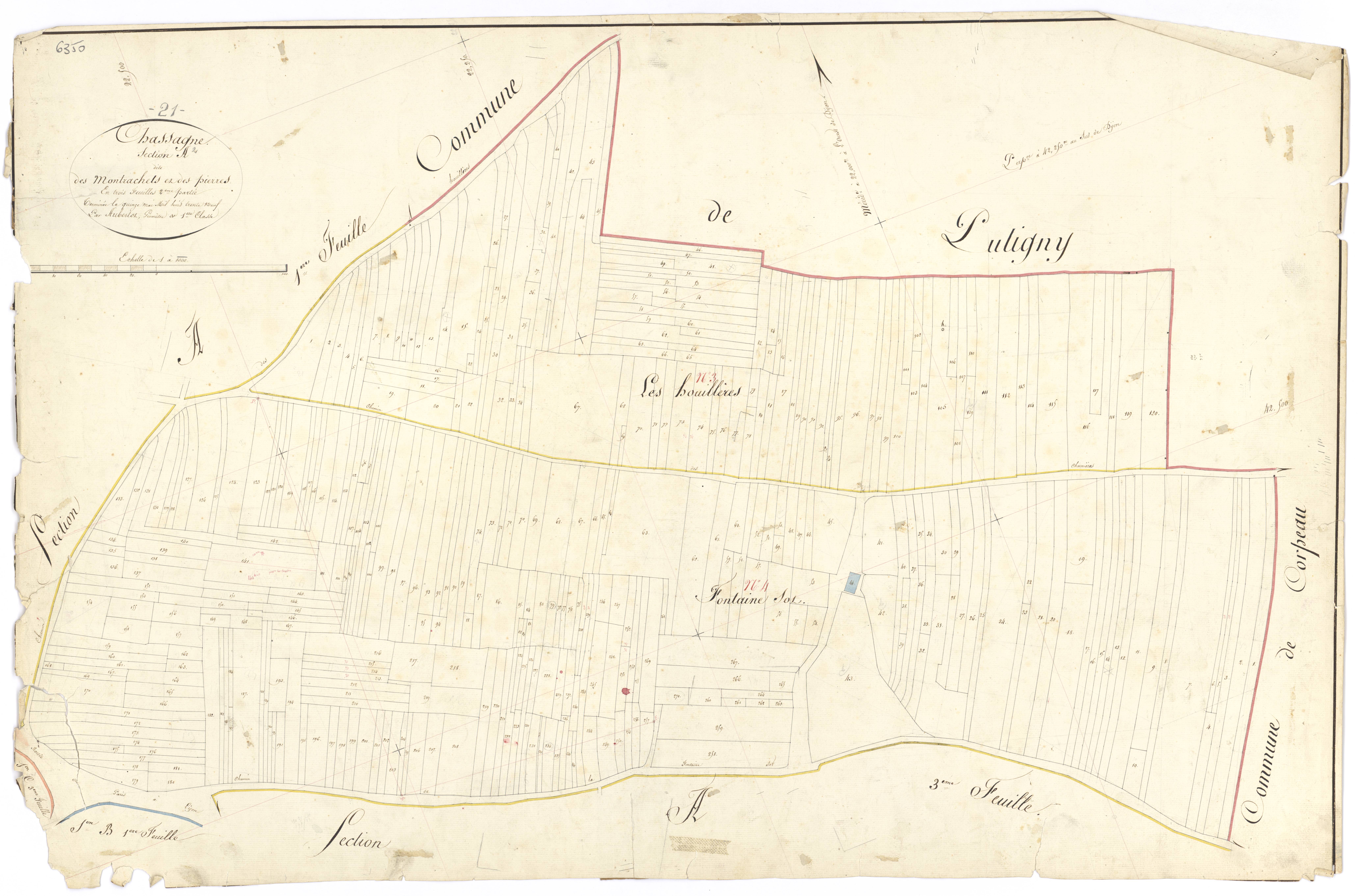 Chassagne-Montrachet - Section A2 - 3 P PLAN 156/4