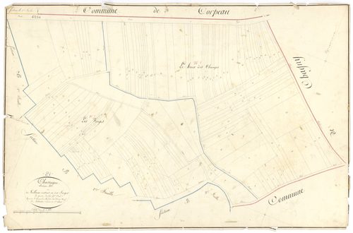 Chassagne-Montrachet - Section B4 - 3 P PLAN 156/10