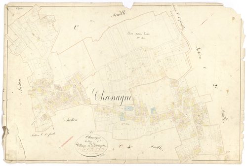 Chassagne-Montrachet - Section C3 - 3 P PLAN 156/14