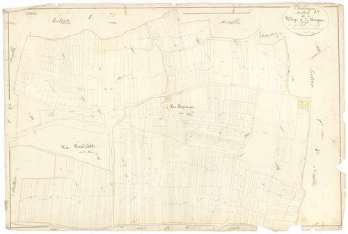 Chassagne-Montrachet - Section C5 - 3 P PLAN 156/16