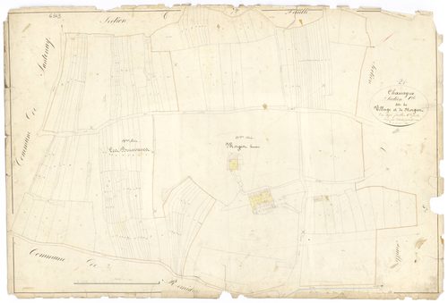 Chassagne-Montrachet - Section C6 - 3 P PLAN 156/17
