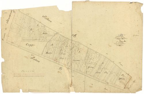 Chenôve - Section C - 3 P PLAN 173/4