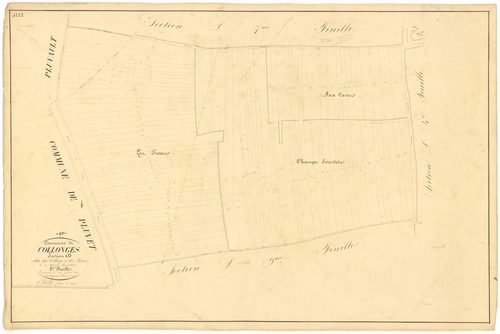 Collonges-lès-Premières - Section D8 - 3 P PLAN 190/21