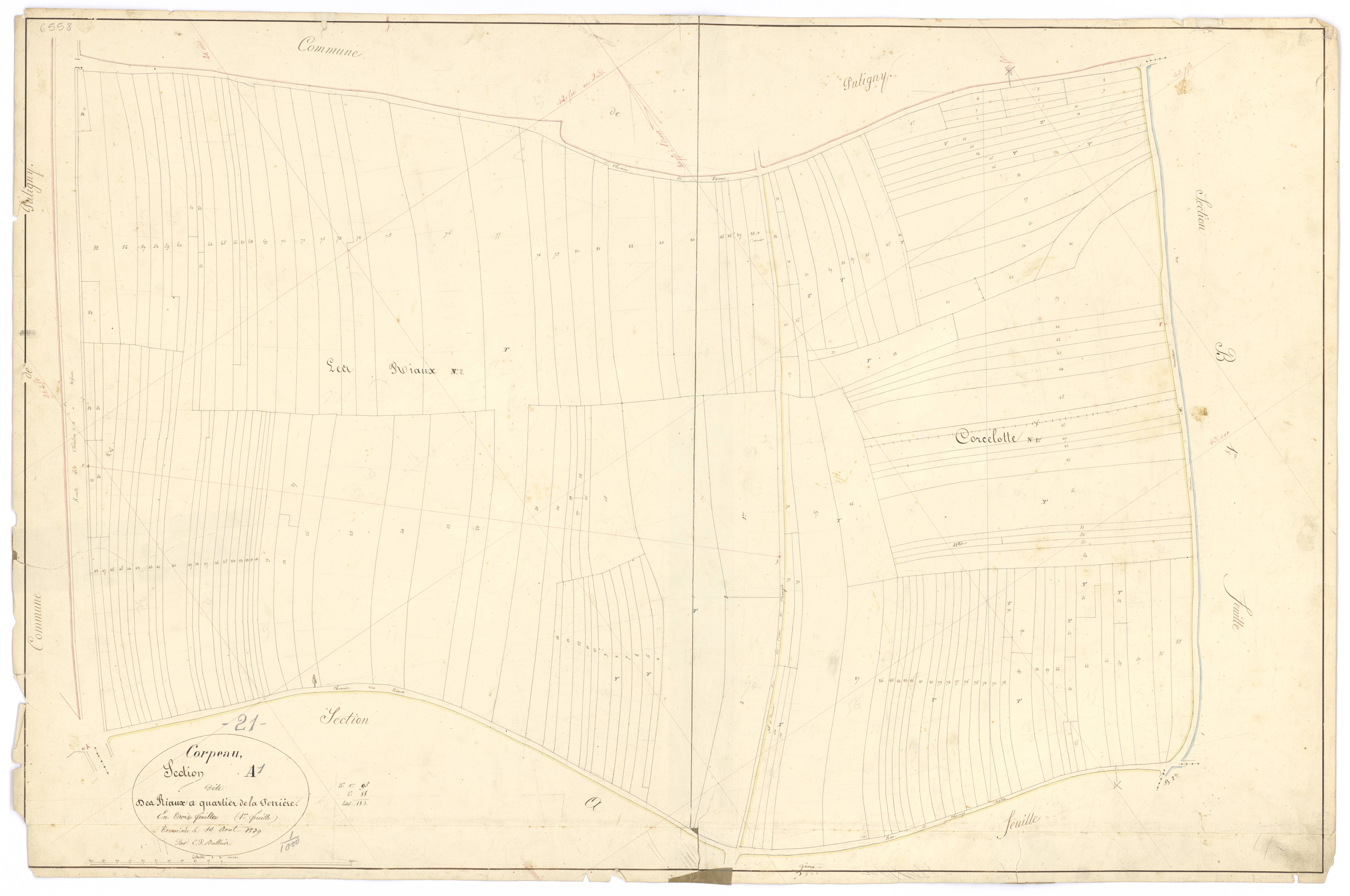 Corpeau - Section A1 - 3 P PLAN 203/3