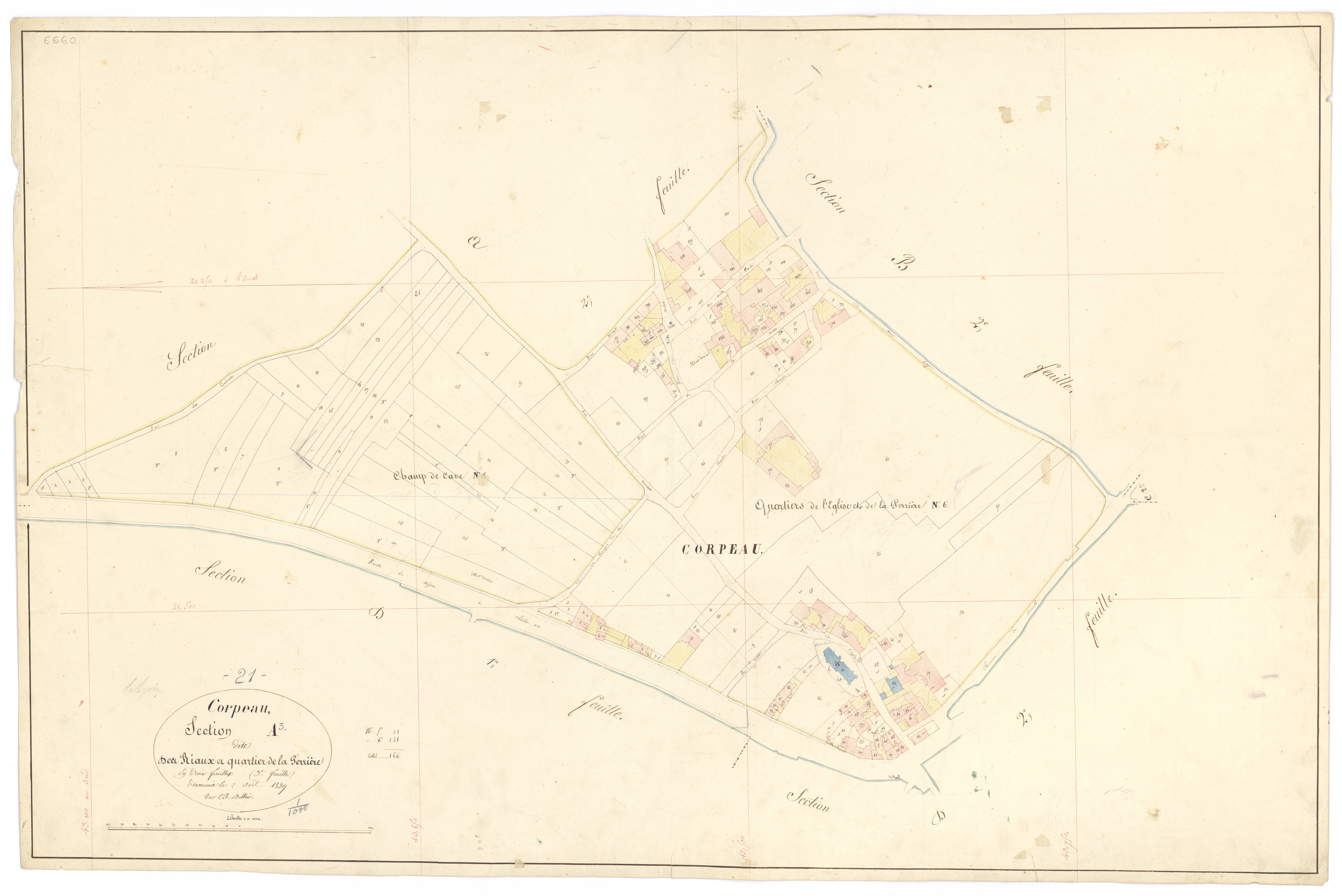 Corpeau - Section A3 - 3 P PLAN 203/5