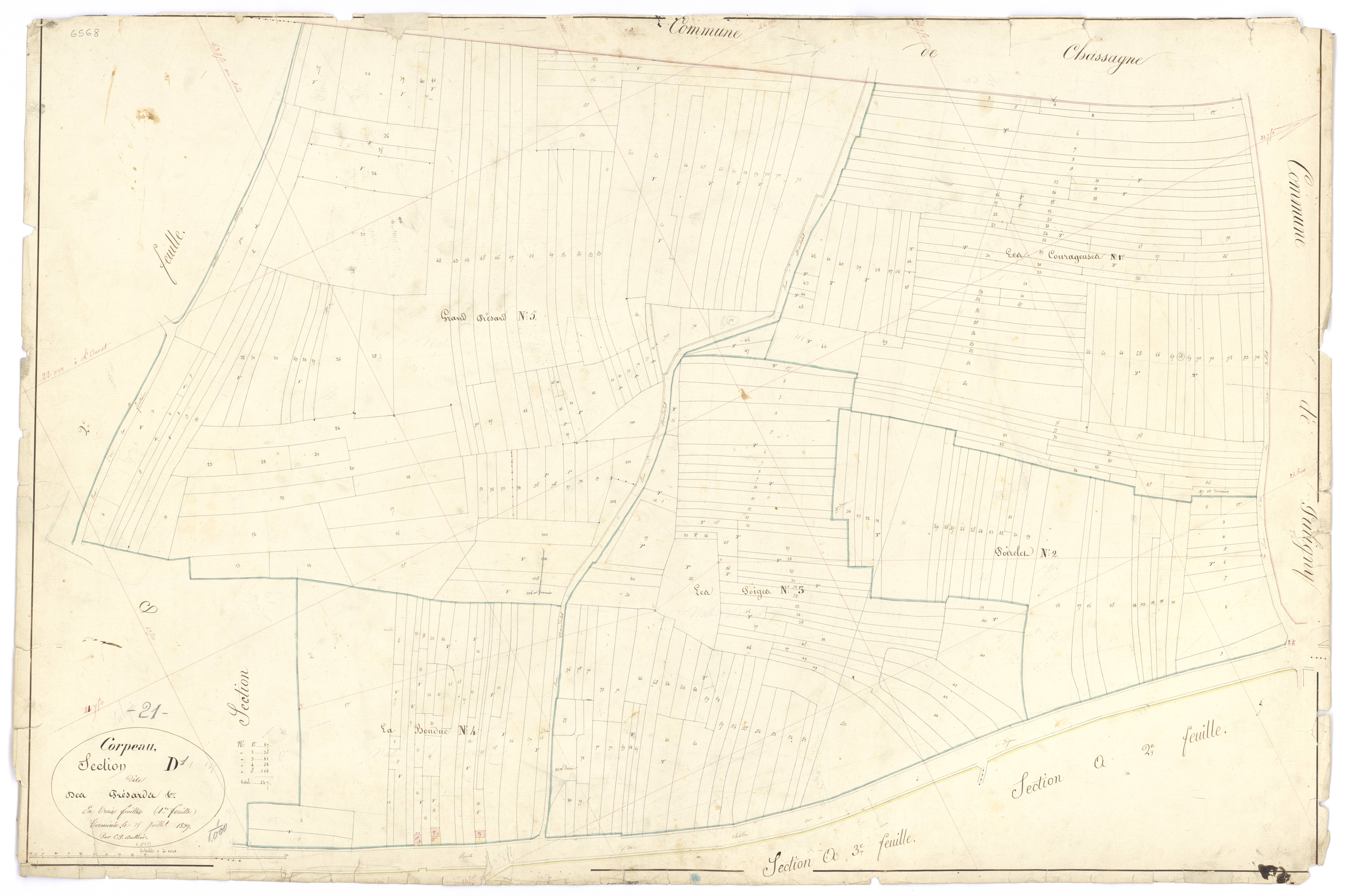 Corpeau - Section D1 - 3 P PLAN 203/13