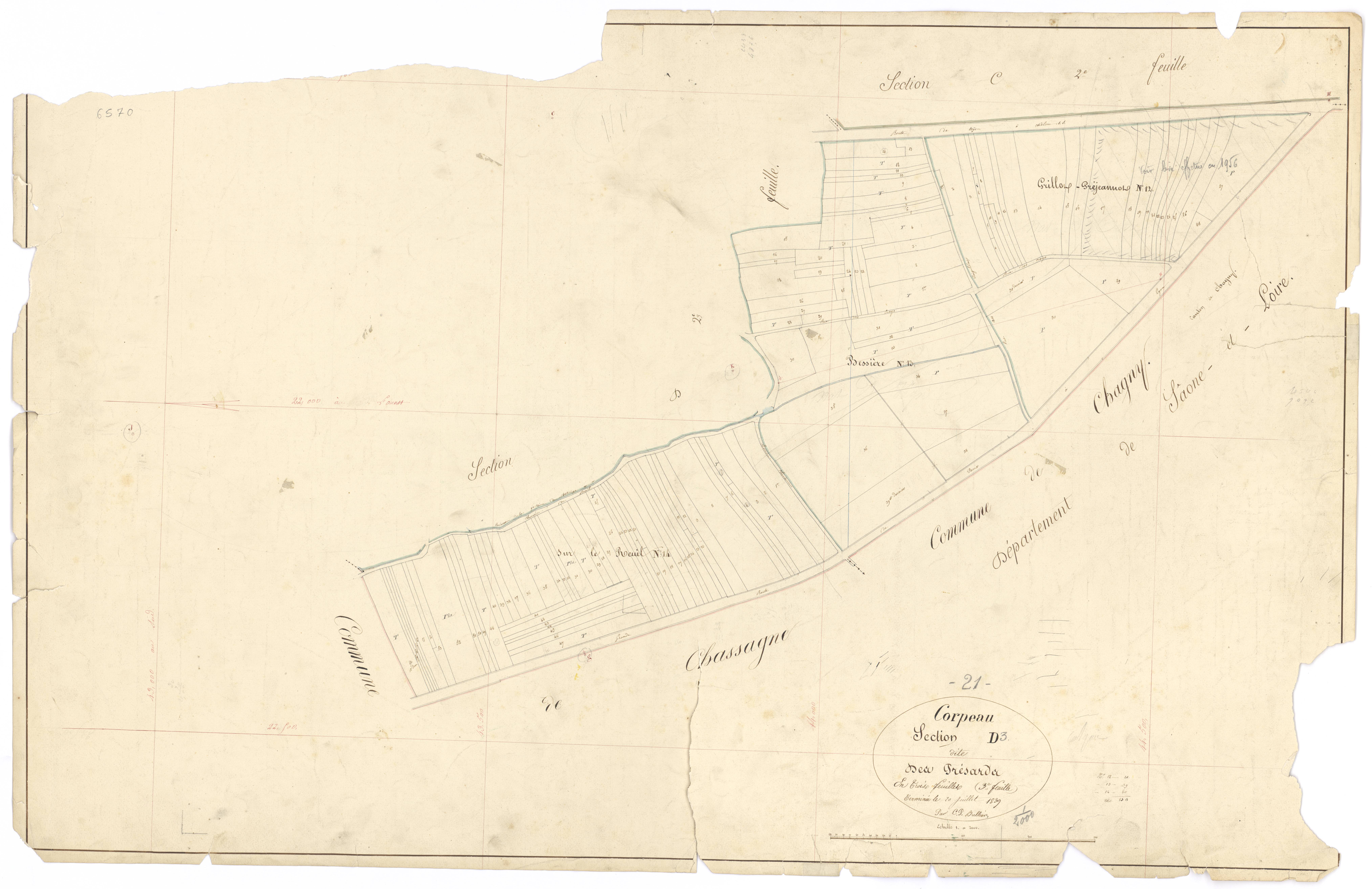 Corpeau - Section D3 - 3 P PLAN 203/15