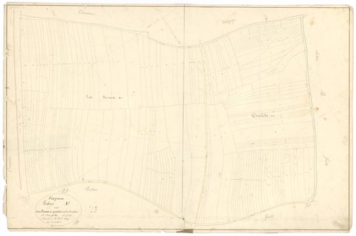 Corpeau - Section A1 - 3 P PLAN 203/3