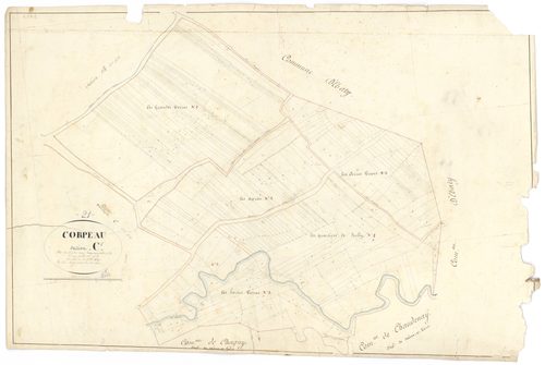 Corpeau - Section C1 - 3 P PLAN 203/10