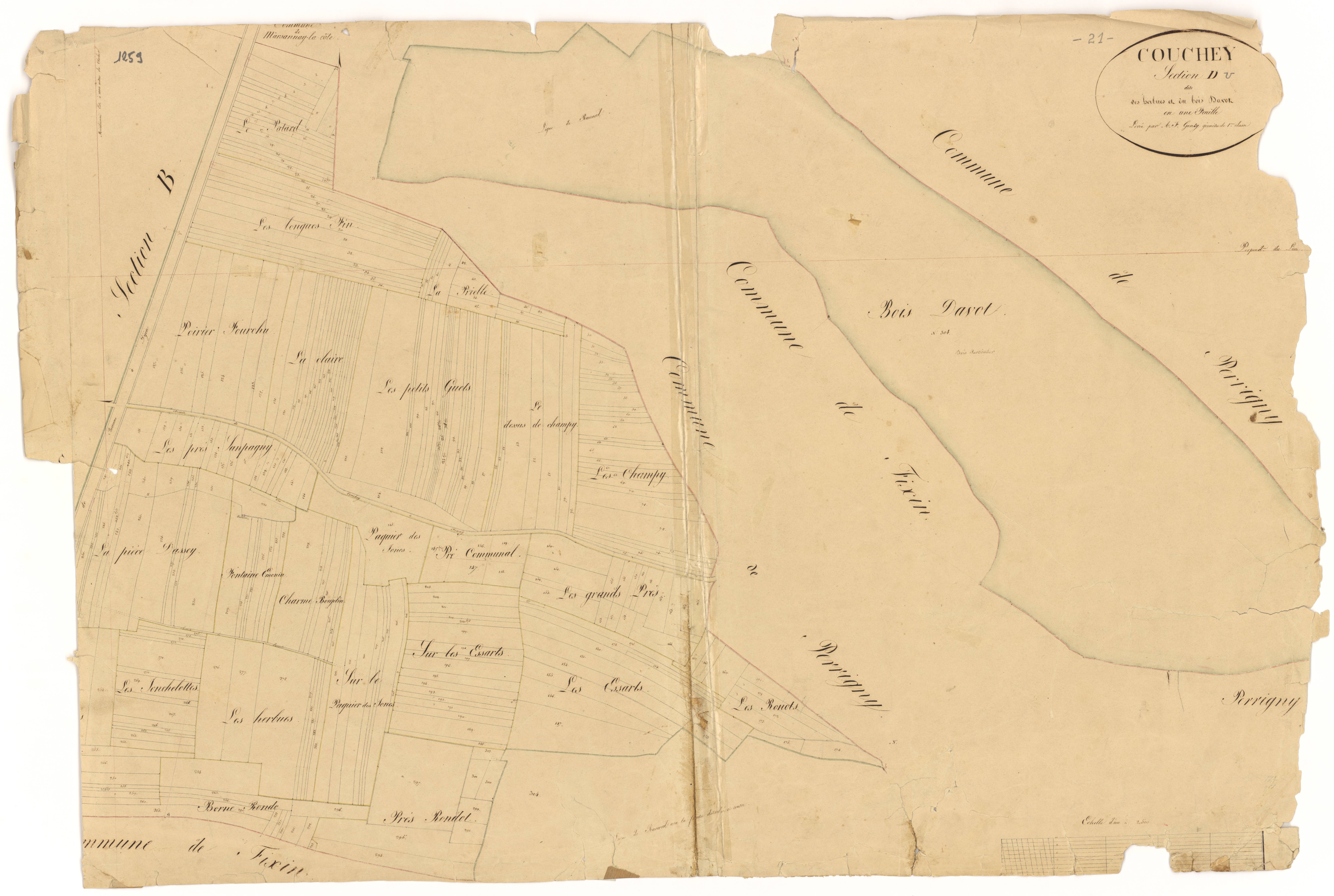 Couchey - Section D - 3 P PLAN 207/7