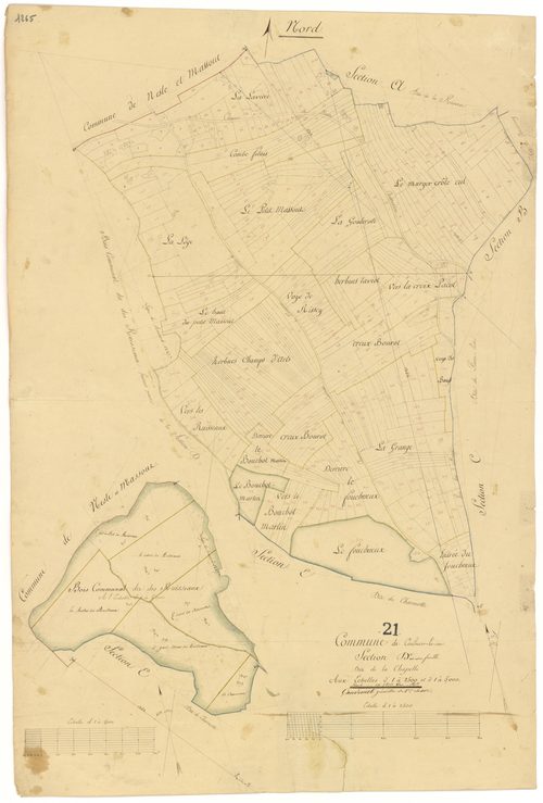 Coulmier-le-Sec - Section D - 3 P PLAN 208/6