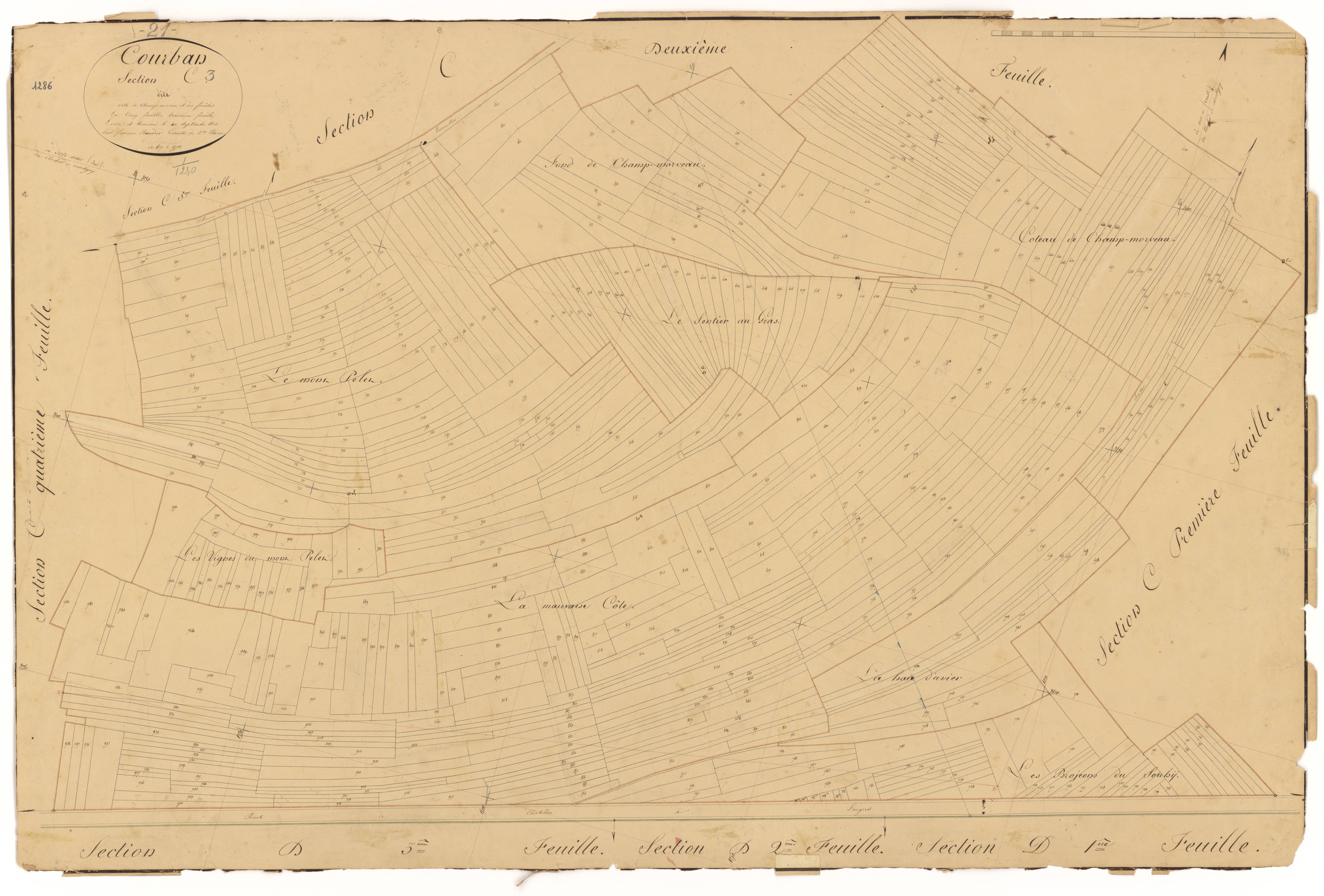 Courban - Section C3 - 3 P PLAN 209/8