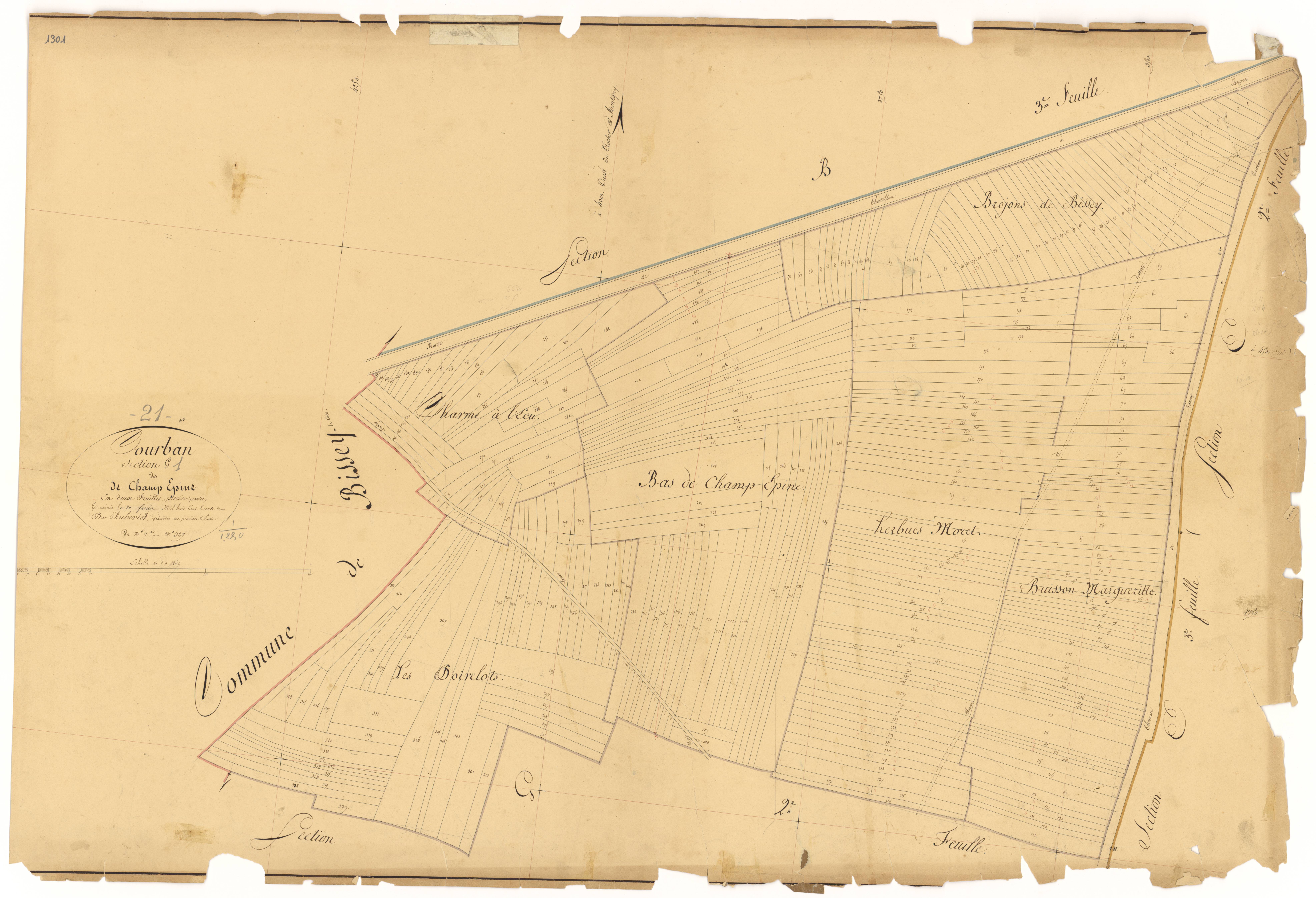 Courban - Section G1 - 3 P PLAN 209/23